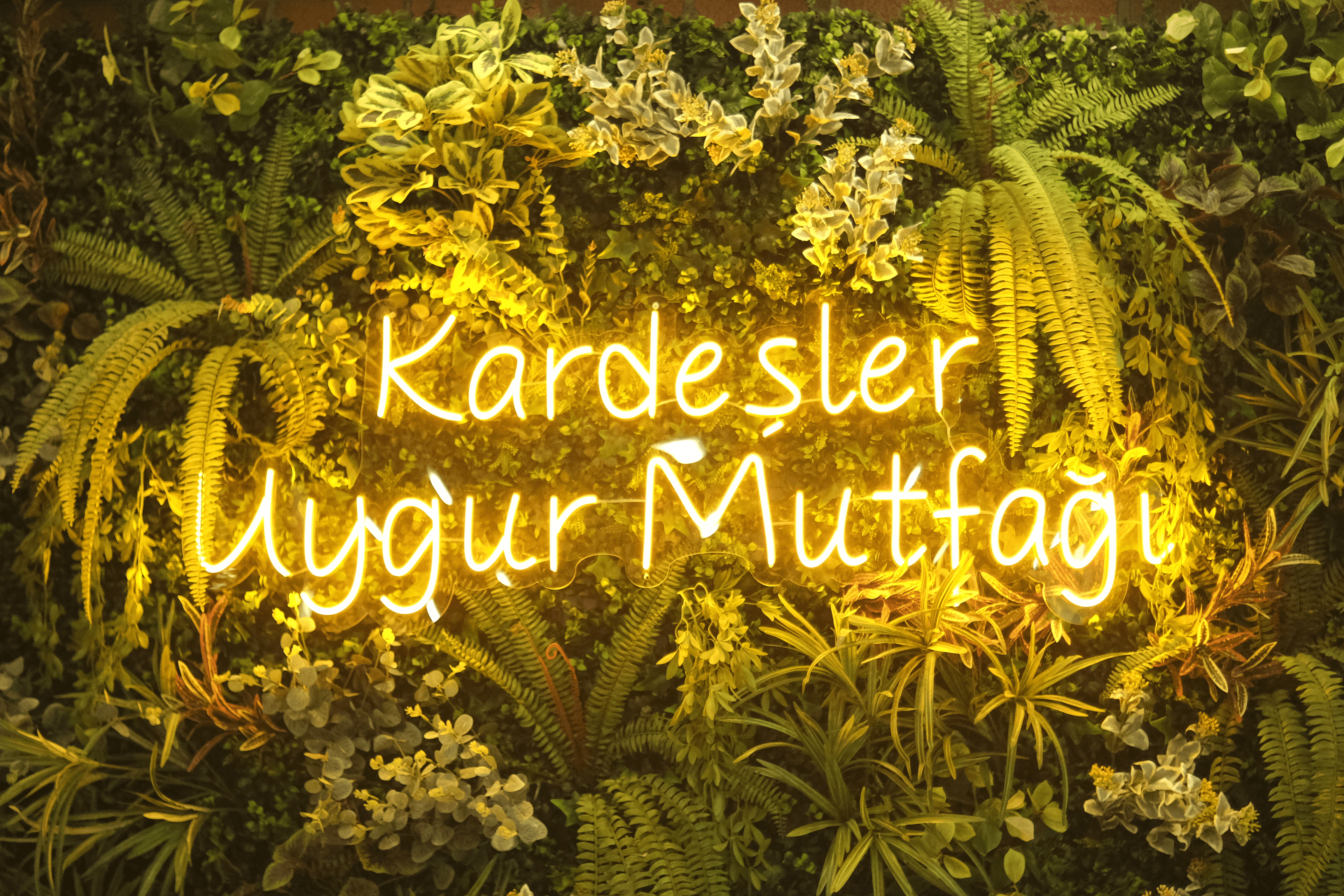 Neon tabela & giriş